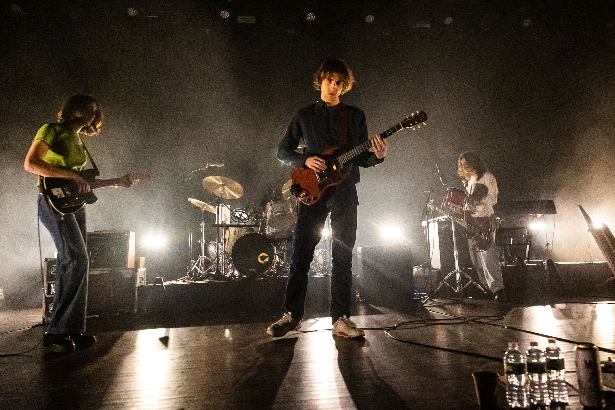 The Fanfare Around Geese Actually Was a Psyop